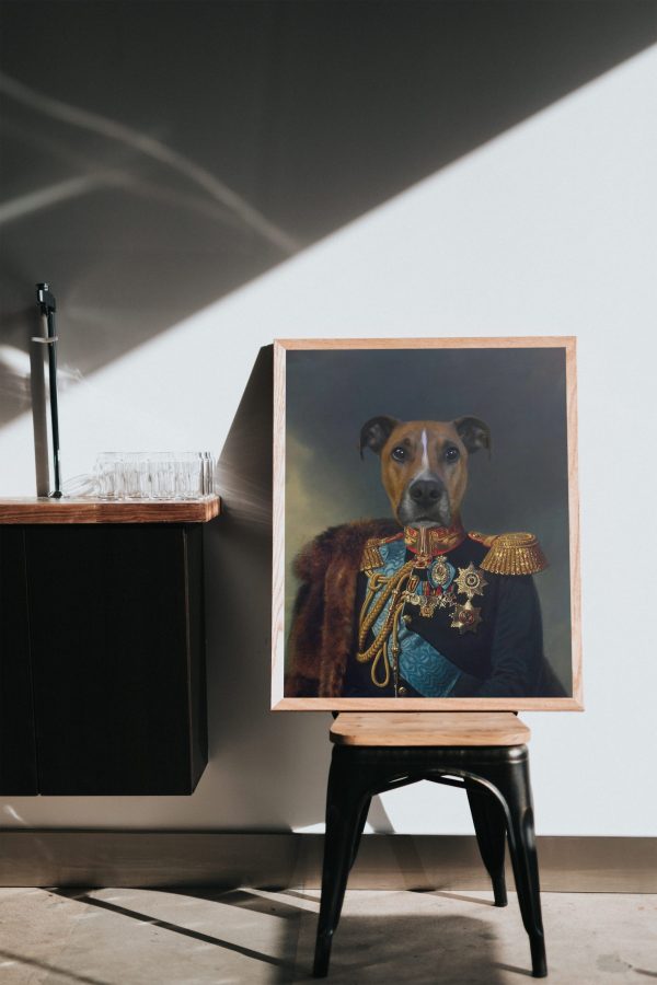 Tablou personalizat cu animalul tău de companie - Uniformă militară și decorații