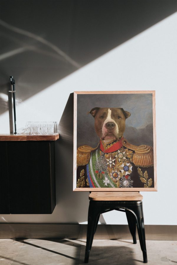 Tablou personalizat cu animalul tău de companie - Uniformă militară cu multe medalii